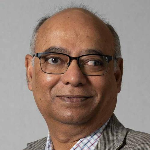 portrait of narayanan ramasubbu