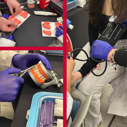 A collage of three photos showing high school students engaging in hands-on dental activities. Top left: Two students hold dental molds of gums and teeth while practicing procedures with dental tools. Bottom left: A gloved individual demonstrates placing braces on a dental model. Right: A student in a black top has their blood pressure taken by someone wearing purple gloves using a manual blood pressure cuff and stethoscope.